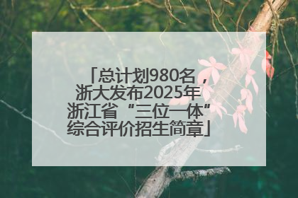 总计划980名，浙大发布2025年浙江省“三位一体”综合评价招生简章